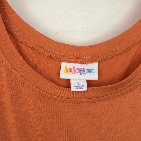 Sleeveless Orange/ pumpkin  Dress - Picture 2 of 3